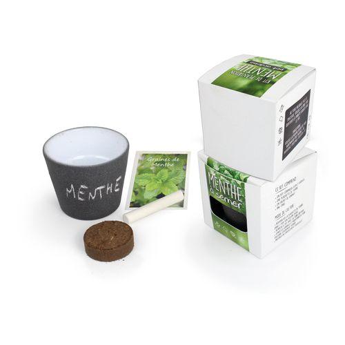Achat Pot à Graines Cube ARDOISE - Menthe - 