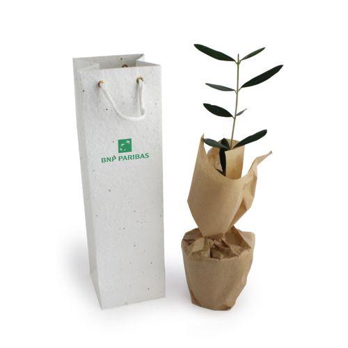 Achat Plant d'arbre en sac kraft black collection- Prestige - 