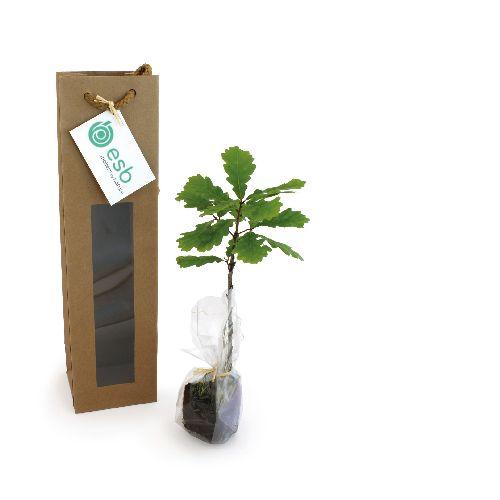 Achat Plant d'arbre en sac kraft - Prestige - 
