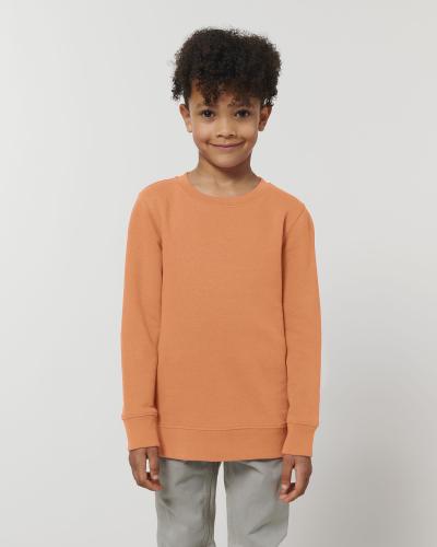 Achat Mini Changer - Le sweat-shirt col rond iconique enfant - Volcano Stone