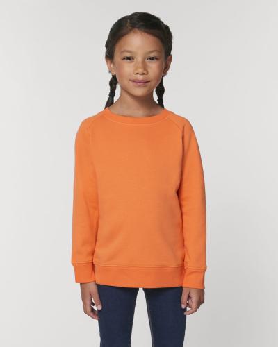 Achat Mini Scouter - Le sweat-shirt col rond iconique enfant - Melon Code