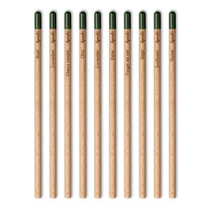 Sprout | Multi Coloured Pencil