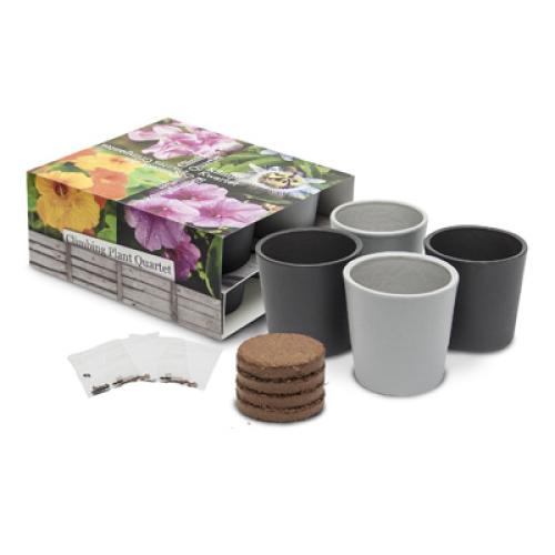 Achat Set de collection 4 pots ceramiques standard - 