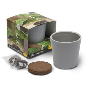 Cube de plantation ceramique standard