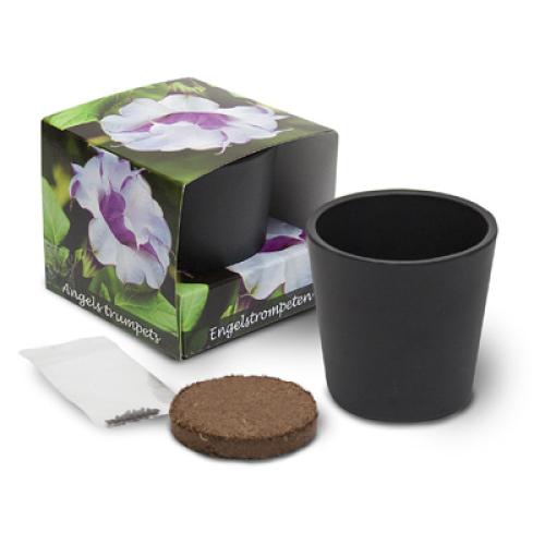 Achat Cube de plantation ceramique standard - 