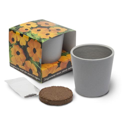 Achat Cube de plantation ceramique standard - 